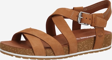 TIMBERLAND Sandalen met riem 'Malibu Waves' in Bruin: voorkant