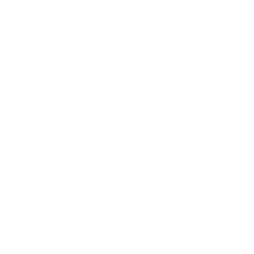 Metamorphoza Logo