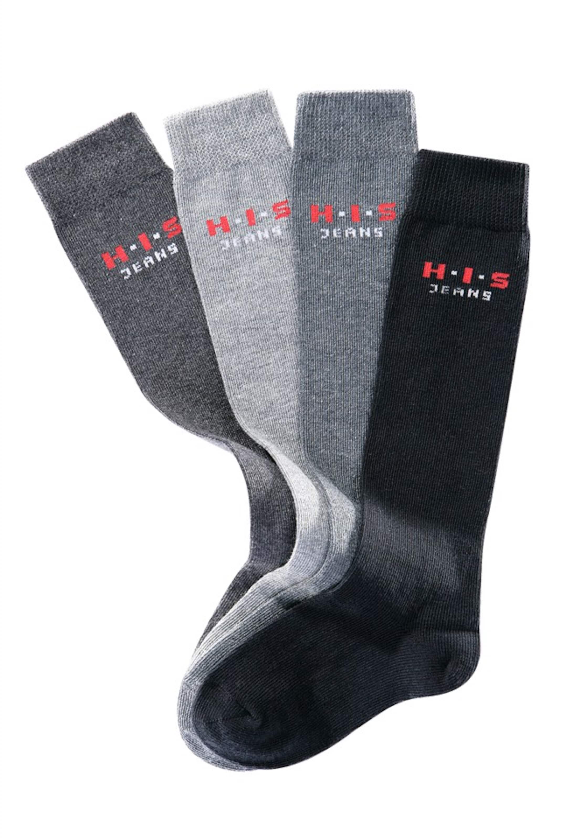 H.I.S Socks in Grey: front