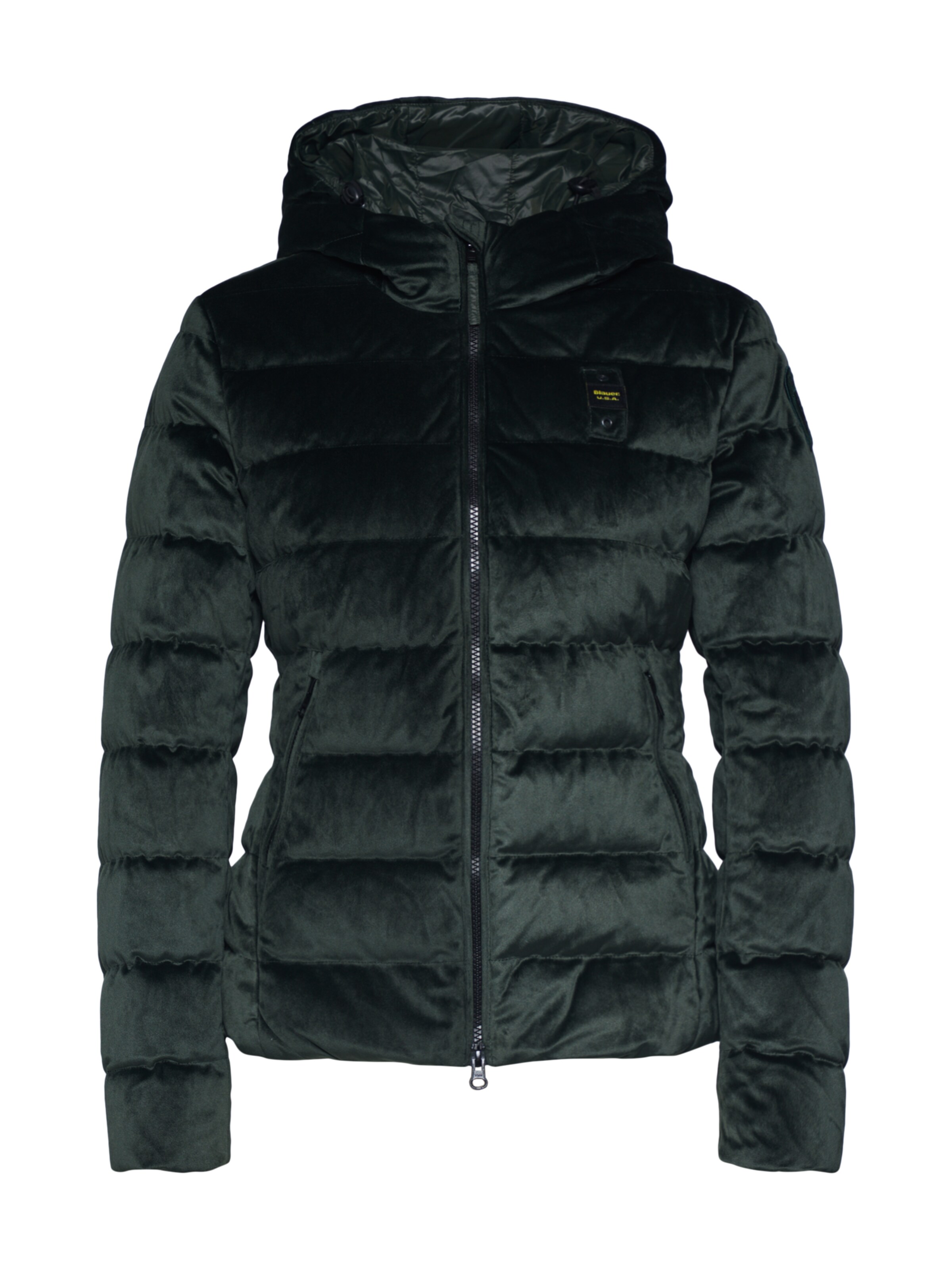 Blauer.USA - Winterjas 'GIUBBINI CORTI IMBOTTITO PIUMA' in de kleur Spar