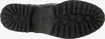 GEOX Lace-up bootie in Black