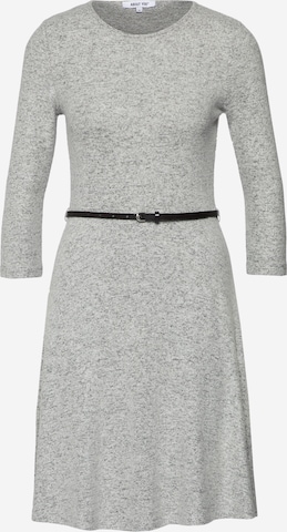 Robe 'Stefanie' ABOUT YOU en gris : devant