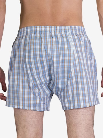 Sugar Pine Boxershorts ' Classic Check ' in Blauw