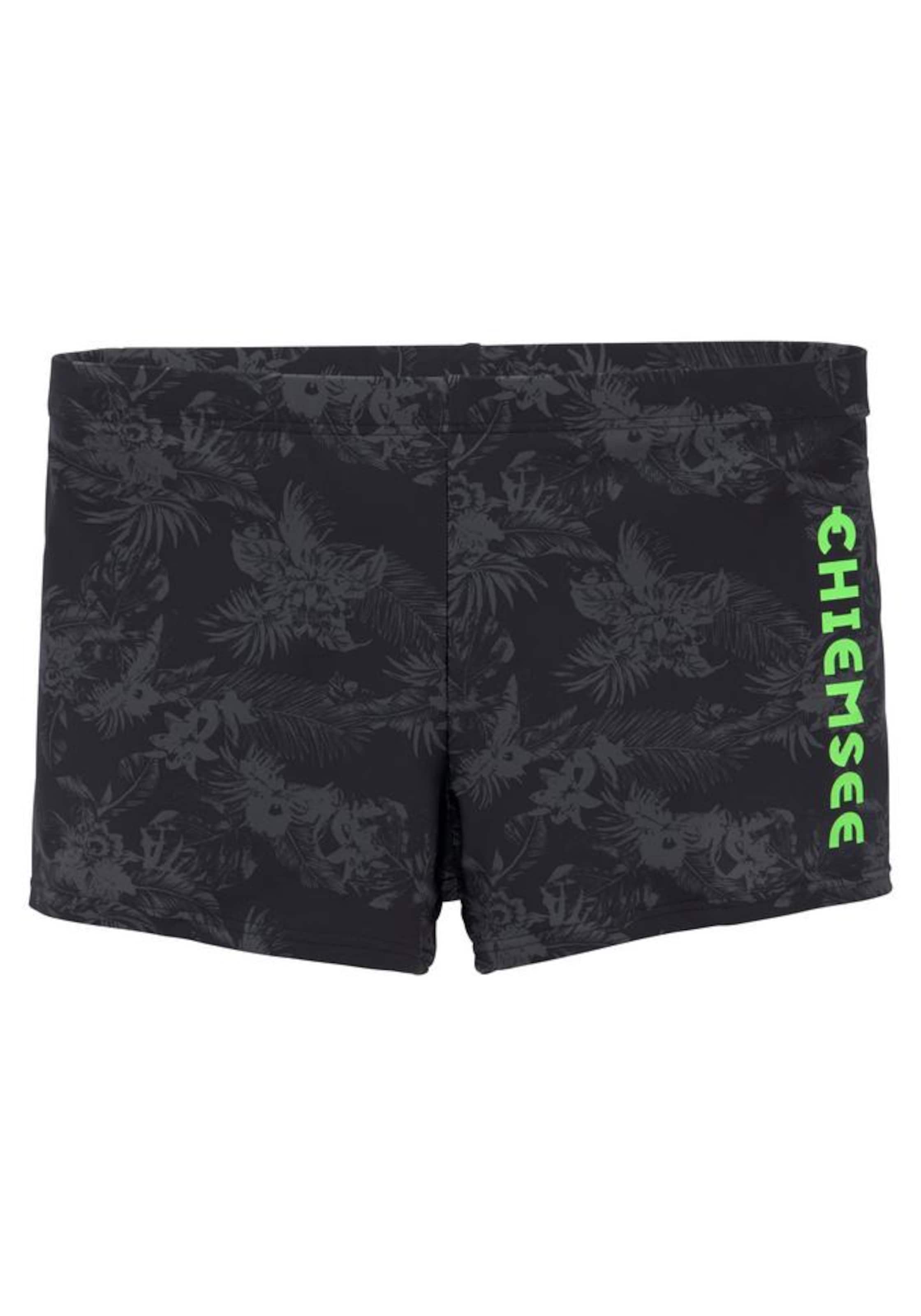 CHIEMSEE Плавки в Темно-серый / Цвет киви / Черный, Обзор товара