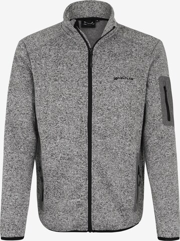 Whistler Funktionsfleecejacke 'Abel' in Grau: predná strana