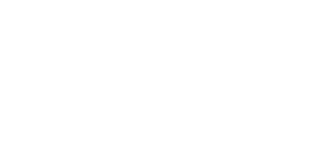 timi of sweden Logo