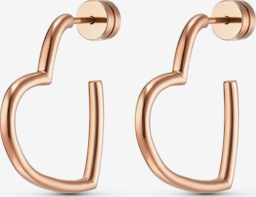 Guido Maria Kretschmer Jewellery Earrings in Gold: front