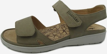 Ganter Sandals in Beige