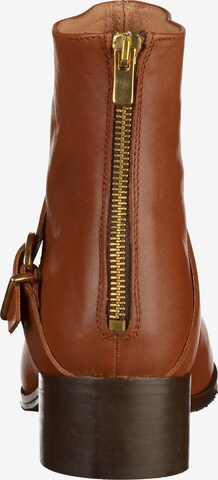 Bensimon Ankle Boots in Brown