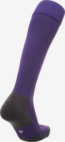 PUMA Soccer Socks 'Team Liga' in Purple