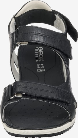 GEOX Sandal 'Vega' i svart