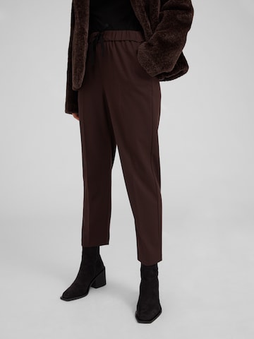 EDITED Regular Pleated Pants 'Alvina' in Brown