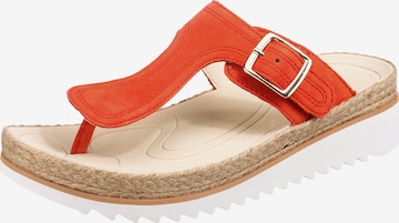GABOR T-Bar Sandals in Orange: front