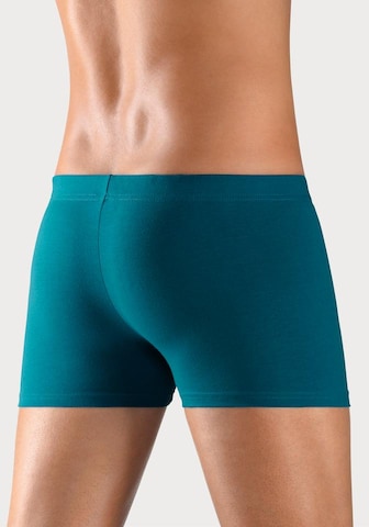 BENCH Boxer shorts in Mixed colors