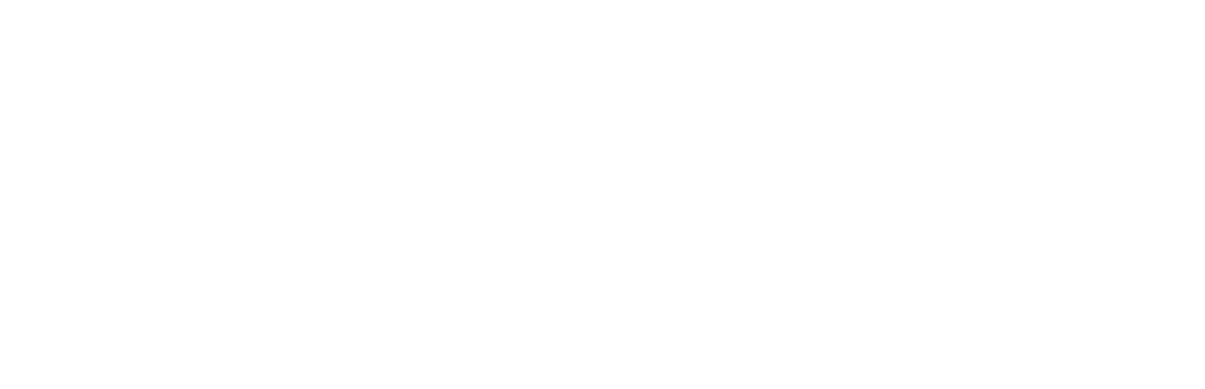 TUMBLE N' DRY Logo