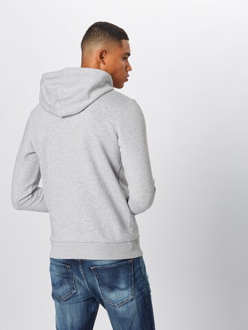 Felpa di JACK & JONES in grigio