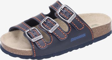 DR. BRINKMANN Sandals & Slippers in Blue: front