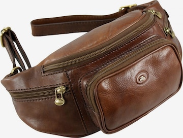 The Bridge Fanny Pack in Brown