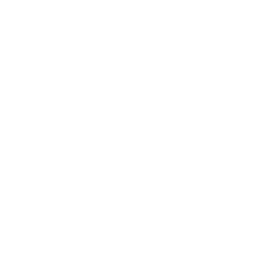 APPARIS Logo