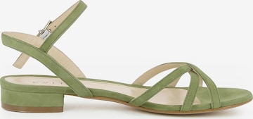 EVITA Sandalen met riem 'Salvina' in Groen