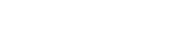 VERSTIQUE Logo