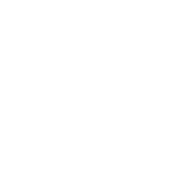 STEHMANN Logo