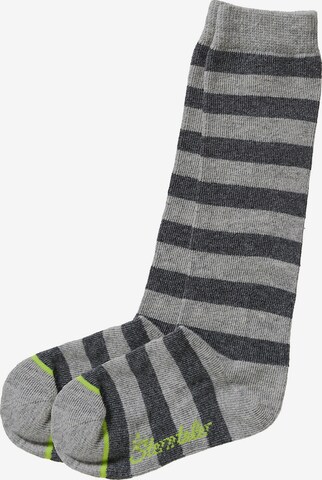 STERNTALER Socks in Grey