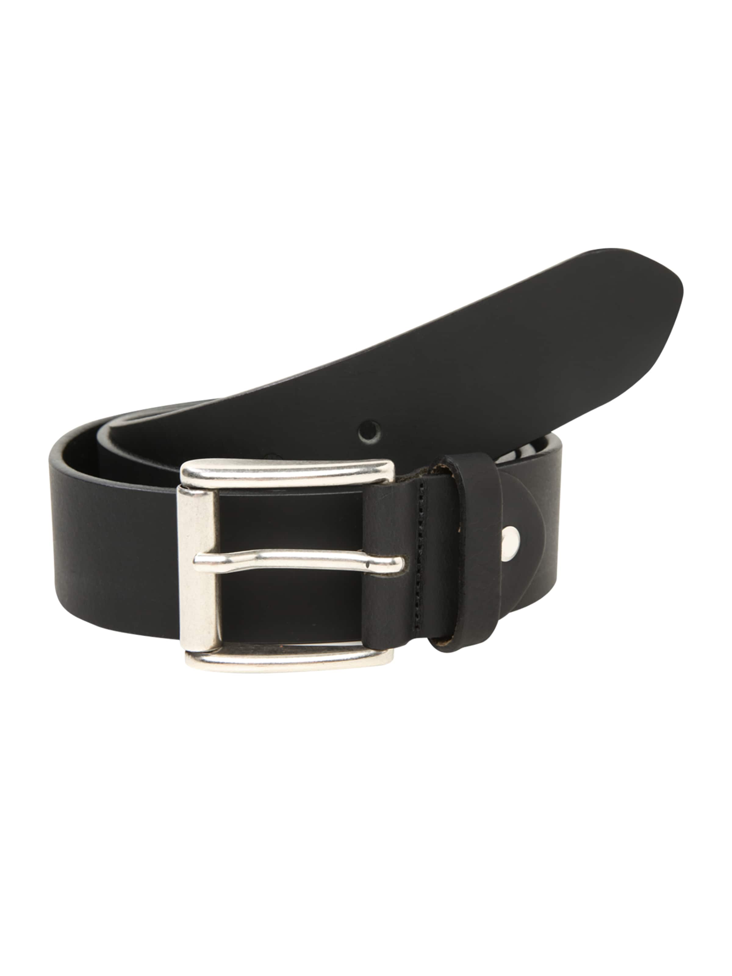 VANZETTI Belt in Black: front