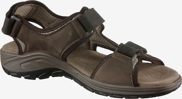 LOWA Sandals 'Urbano' in Brown