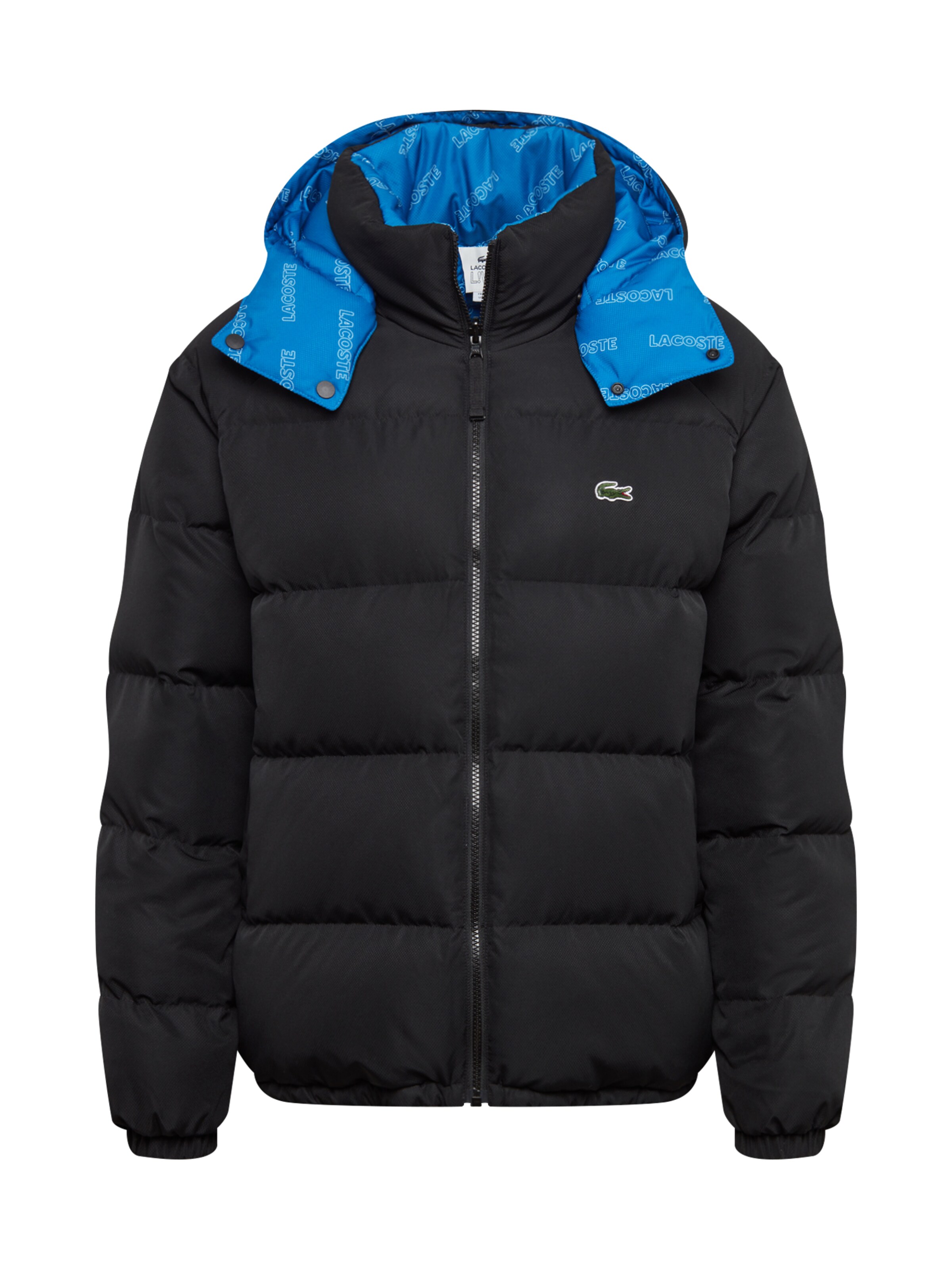 Lacoste LIVE - Winterjas in de kleur Zwart