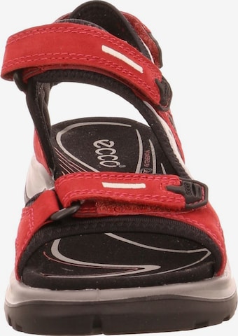 ECCO Trekking sandal 'Offroad' in Red