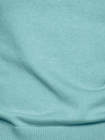 heine Trui in Blauw