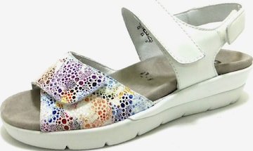 SEMLER Sandals in White: front