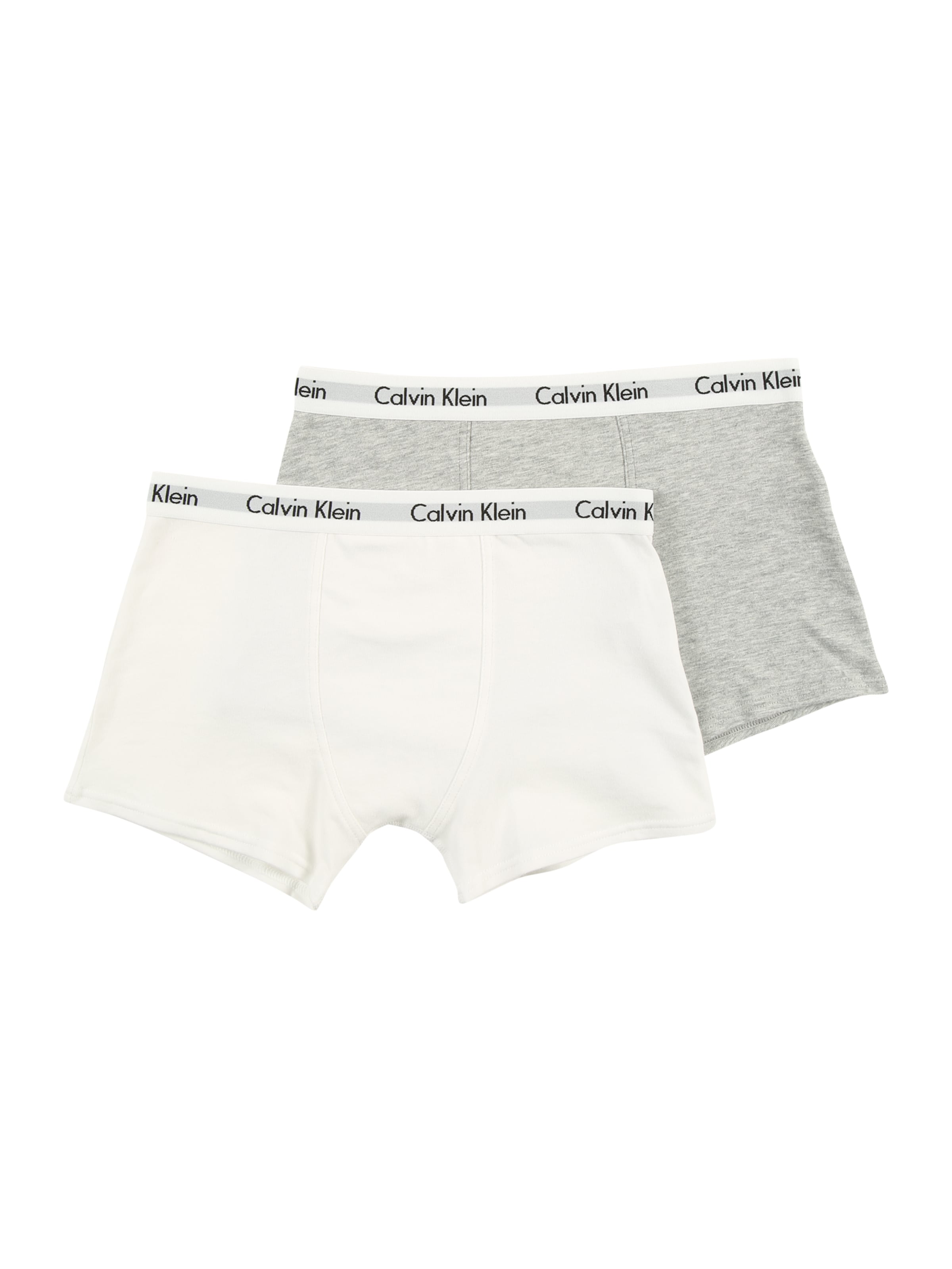 Calvin Klein Underwear Underpants in Grey: front