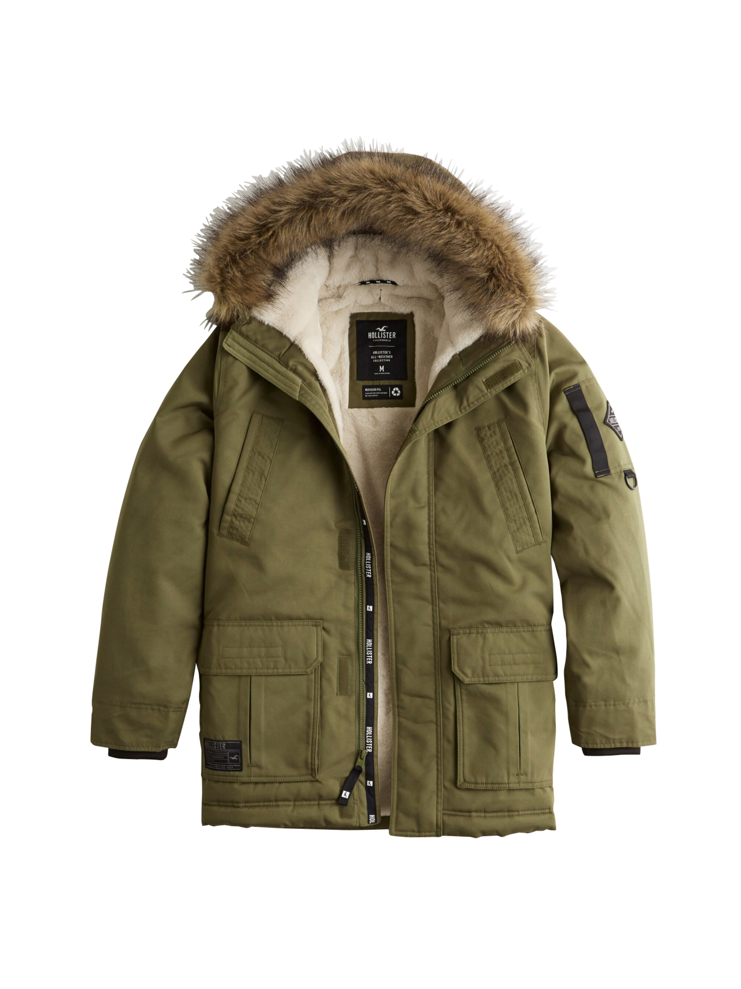 HOLLISTER - Winterparka 'XM19-AW PARKA BLACK AND OLIVE 2CC' in de kleur Olijfgroen