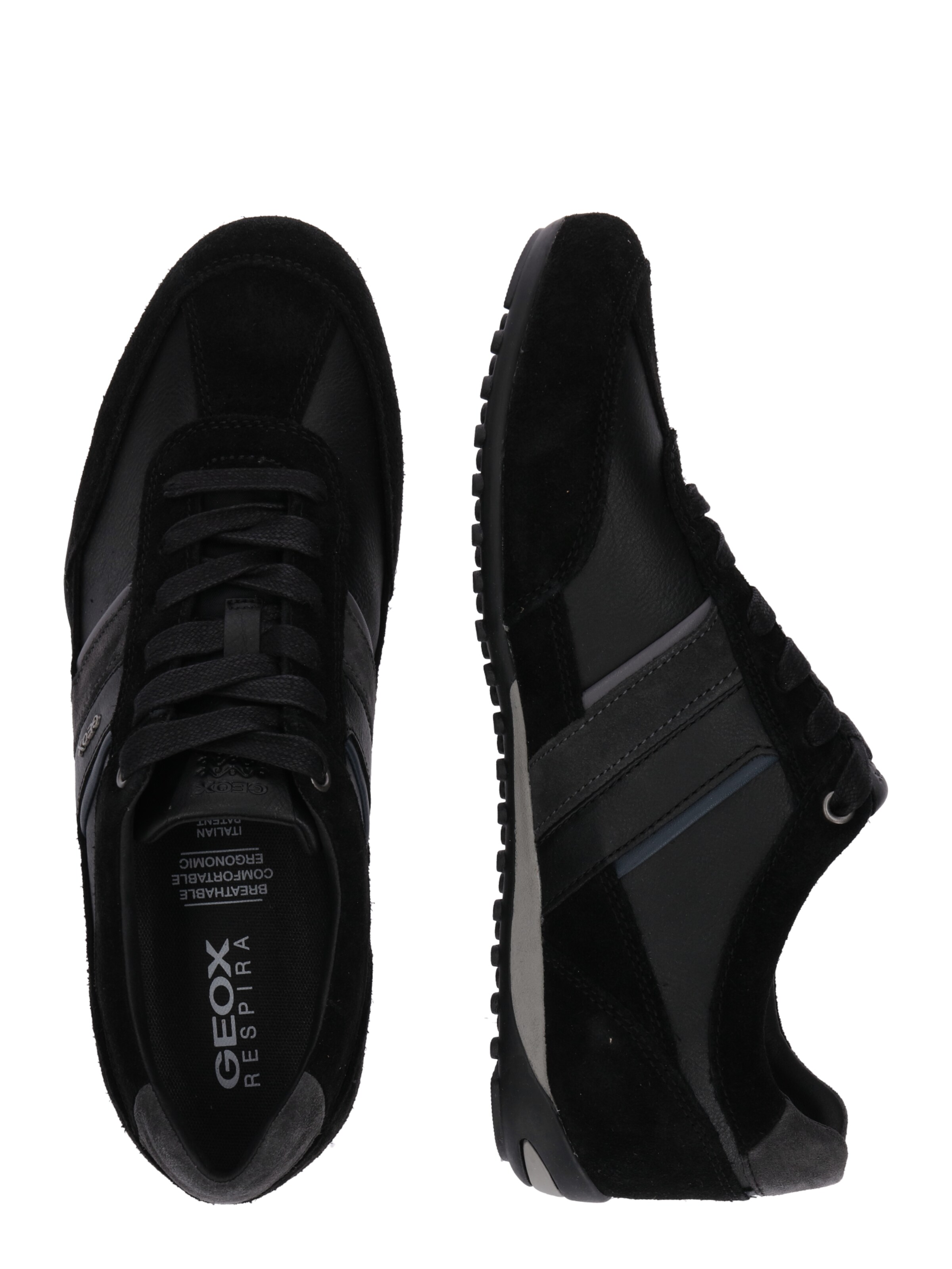 Baskets basses 'Wells' GEOX en noir : sur le côté