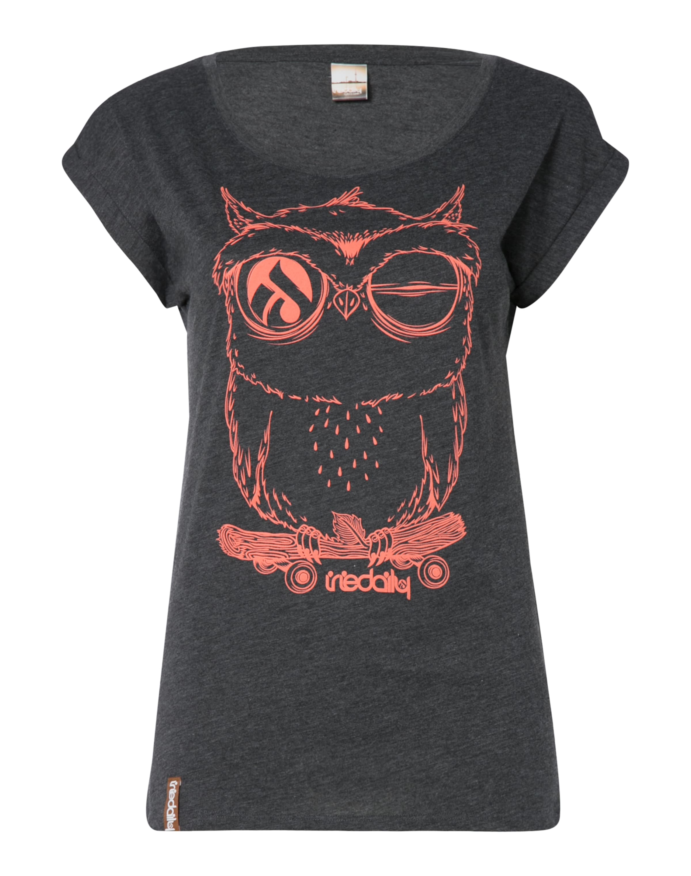 T-shirt 'Skateowl 2' Iriedaily en gris : devant