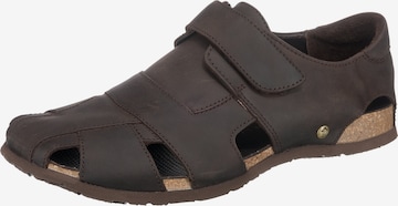 PANAMA JACK Sandals in Brown: front