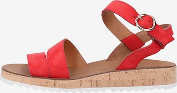 Paul Green Sandalen met riem in Rood