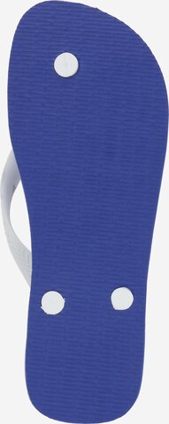 HAVAIANAS Teenslippers 'BRASIL' in Blauw