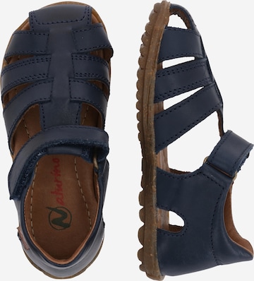 NATURINO Sandals & Slippers 'See' in Blue