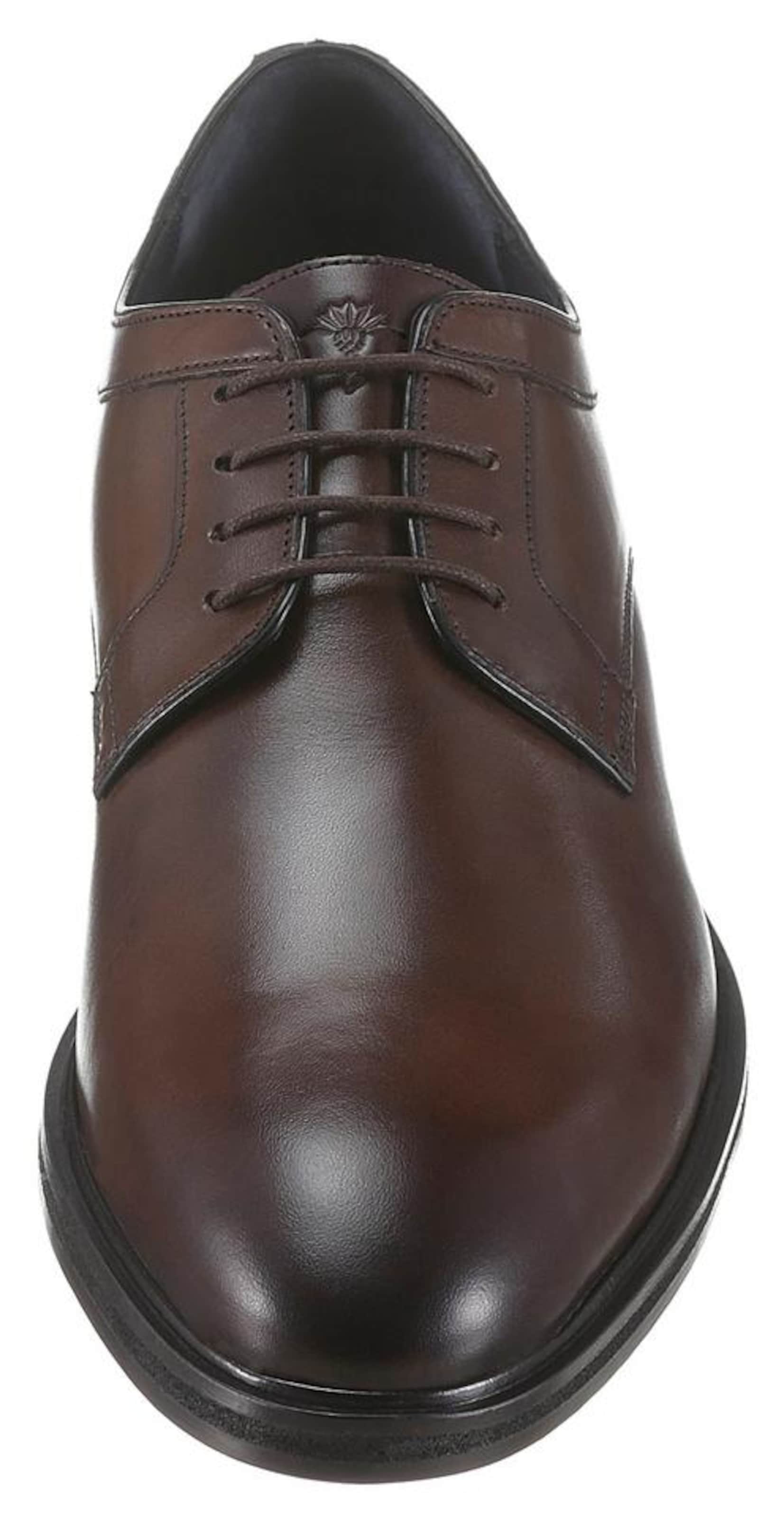 JOOP! Nöörking 'Kleitos', värv pruun