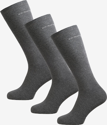 camano Knee High Socks 'Erin' in Grey: front