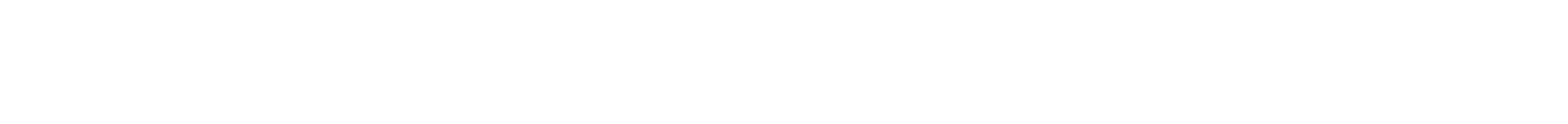 ENDURANCE Logo