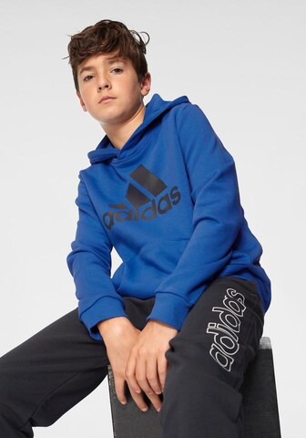 ADIDAS PERFORMANCE Regularny krój Bluza sportowa w kolorze niebieski