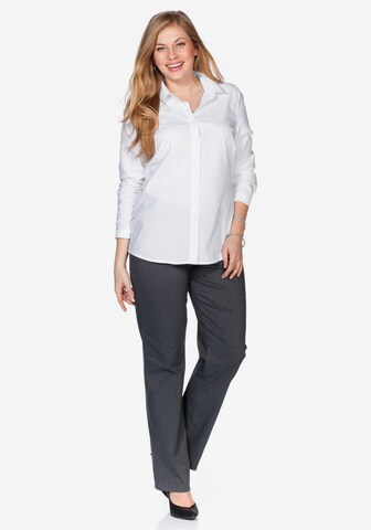 Coupe slim Pantalon SHEEGO en gris