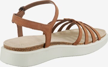 ECCO Strap Sandals in Brown