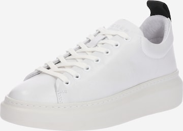 PAVEMENT - Zapatillas deportivas bajas 'Dee' en blanco: frente