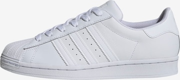 ADIDAS ORIGINALS - Zapatillas deportivas bajas 'Superstar' en blanco: frente