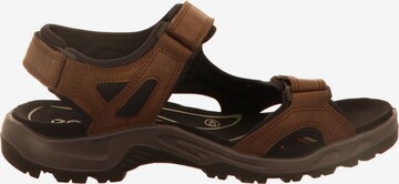 ECCO Hiking Sandals 'Offroad' in Brown